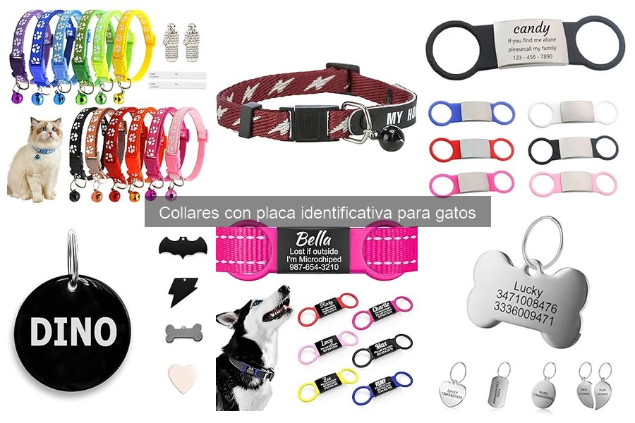 Alternativas a collares identificativos para gatos