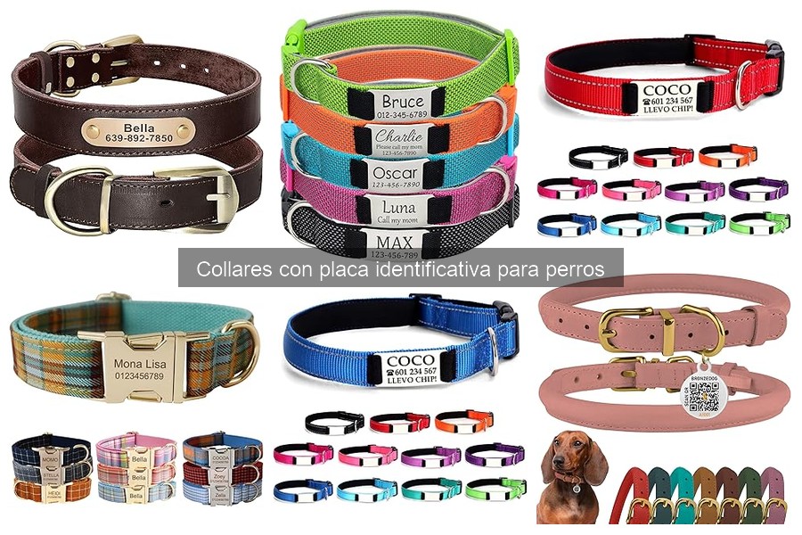 Alternativas a collares identificativos para perros en 2023
