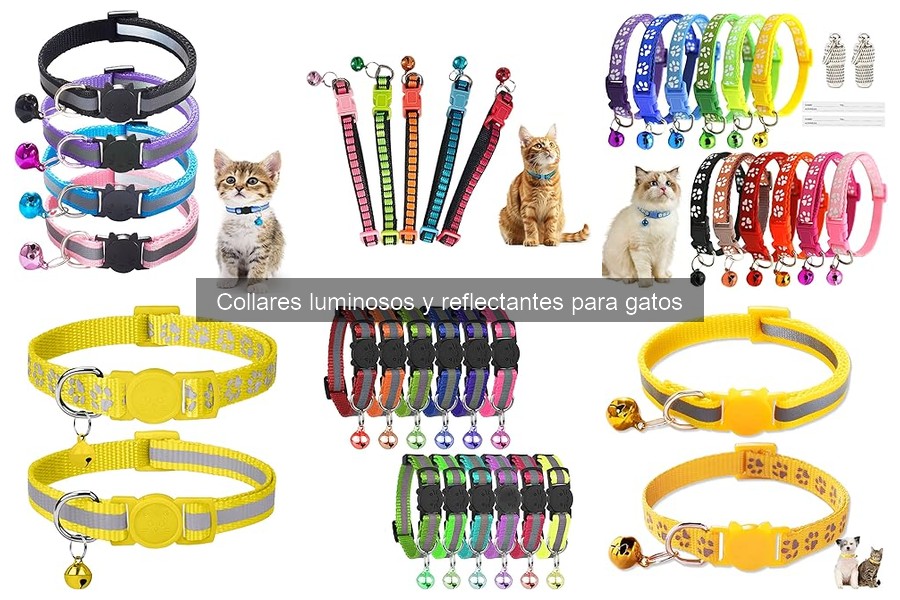 Alternativas a collares luminosos para gatos: opciones seguras