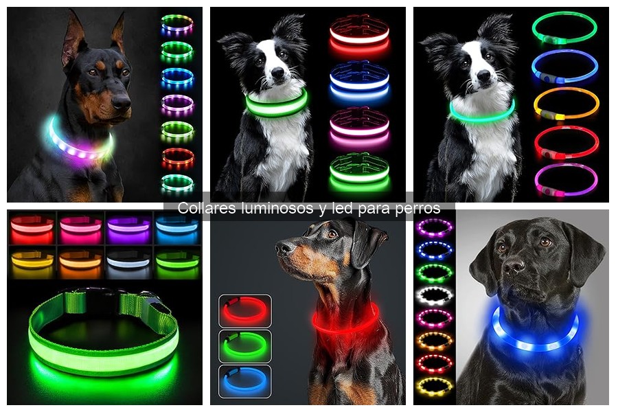 Alternativas a collares luminosos para perros