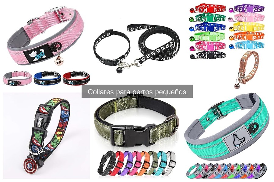 Alternativas a Collares para Perros Pequeños: Guía Práctica