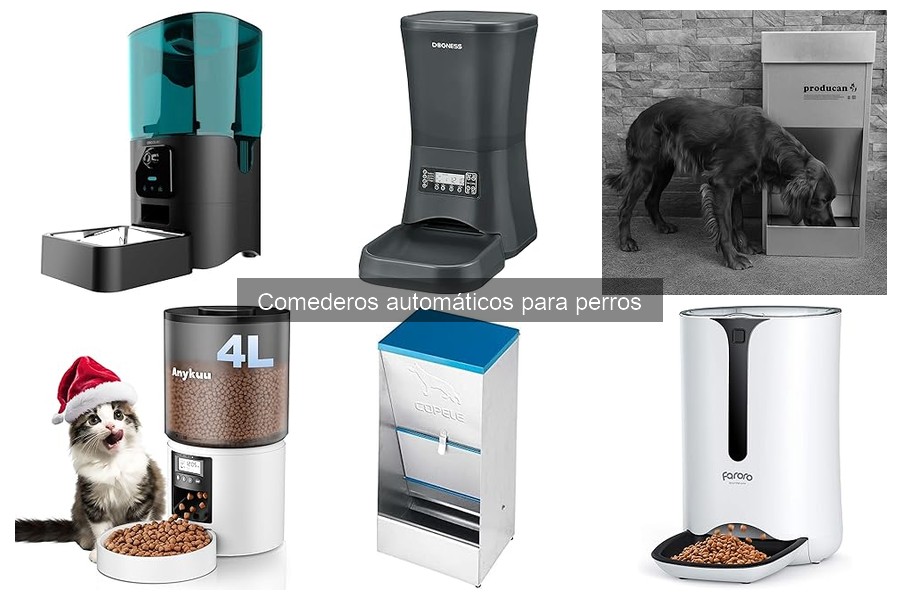 Alternativas a comederos automáticos para perros