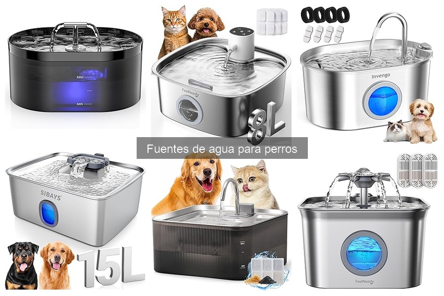 Alternativas a Fuentes de Agua para Perros: Opciones Prácticas