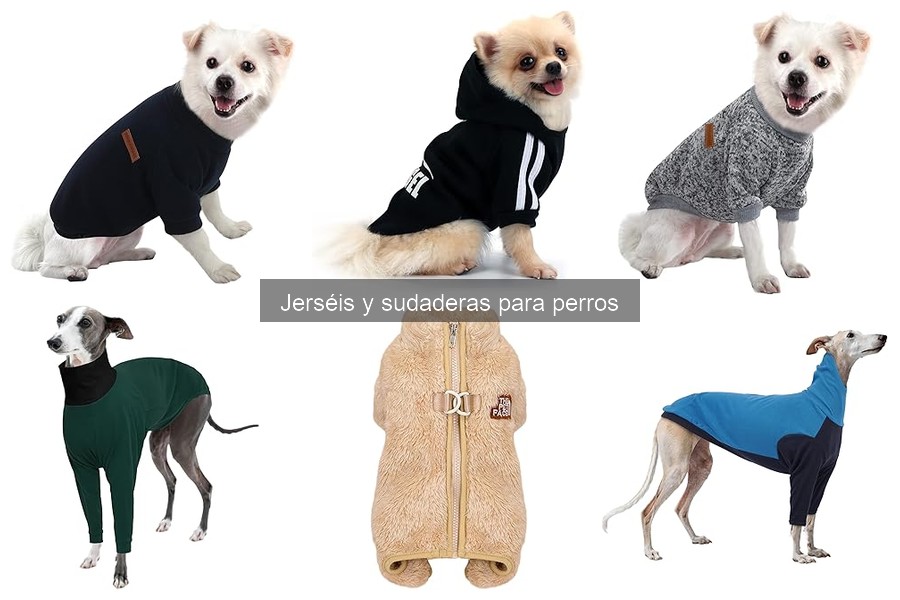 Alternativas a jerséis y sudaderas para perros en climas fríos