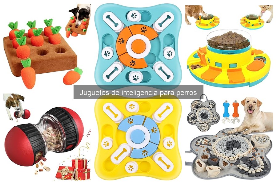 Alternativas a juguetes de inteligencia para perros