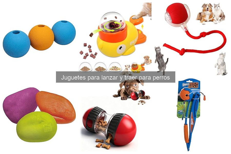 Alternativas a Juguetes de Lanzar y Traer para Perros