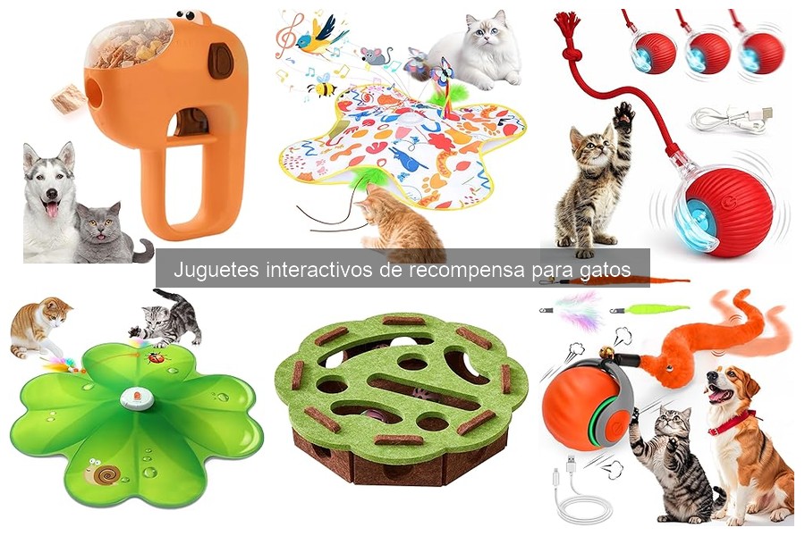 Alternativas a juguetes interactivos de recompensa para gatos