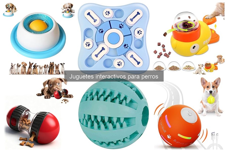 Alternativas a juguetes interactivos para perros