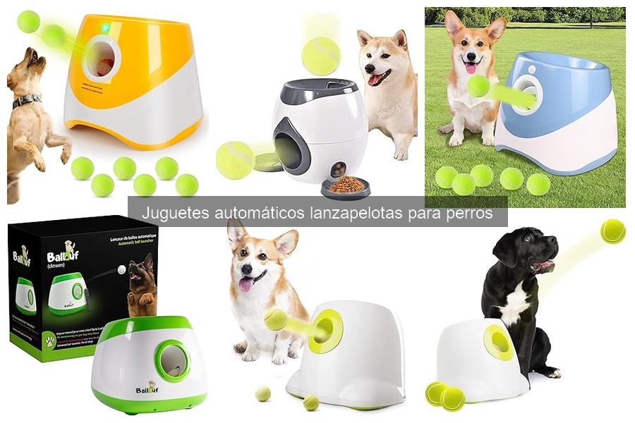 Alternativas a Juguetes Lanzapelotas Automáticos para Perros