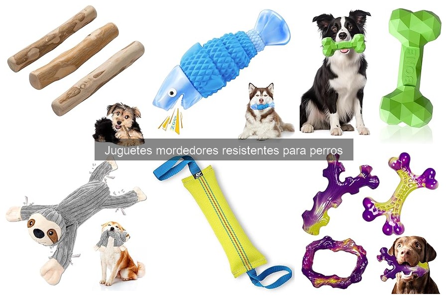 Alternativas a Juguetes Mordedores Resistentes para Perros