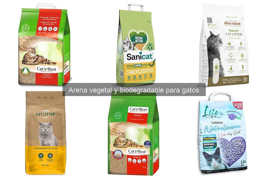 Alternativas a la arena biodegradable para gatos