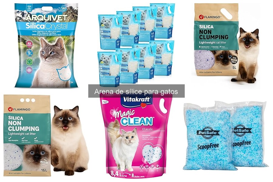 Alternativas a la Arena de Sílice para Gatos: Opciones Ecológicas