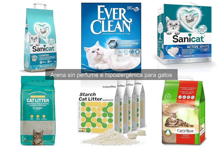 Alternativas a la Arena Hipoalergénica para Gatos Sensibles