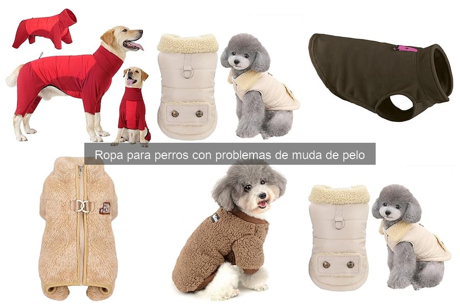 Alternativas a la ropa para perros con problemas de muda de pelo