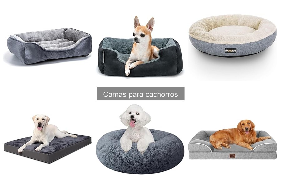 Alternativas a las camas convencionales para cachorros