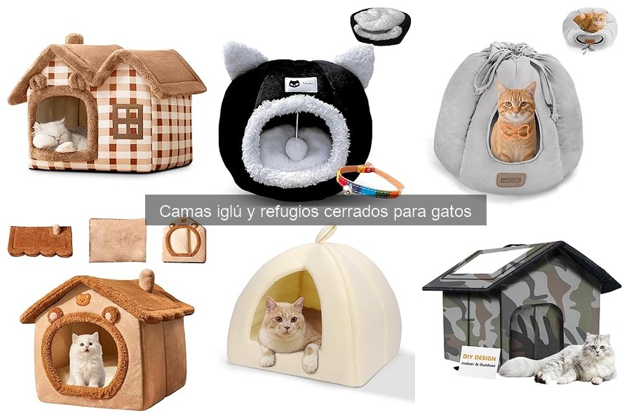 Alternativas a las camas iglú para gatos: opciones cómodas