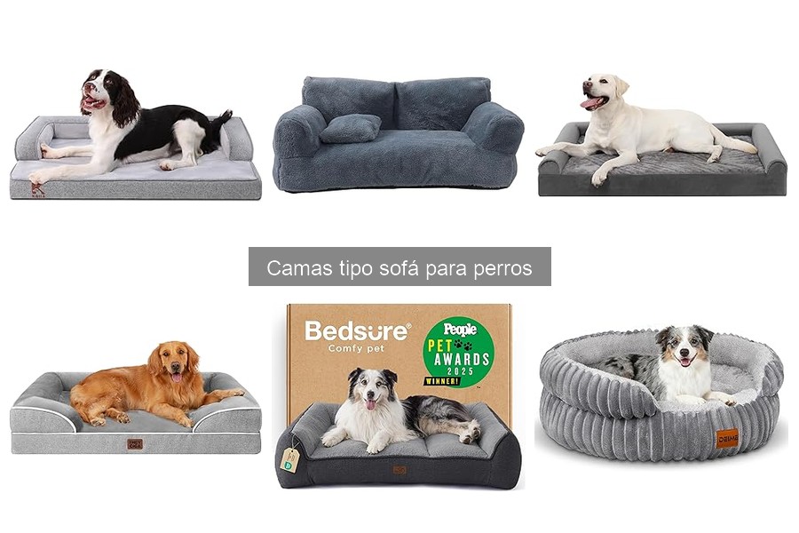 Alternativas a las camas tipo sofá para perros: opciones prácticas
