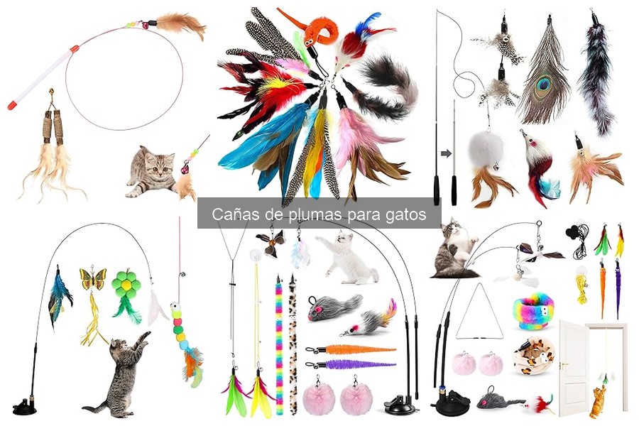 Alternativas a las cañas de plumas para gatos: opciones divertidas
