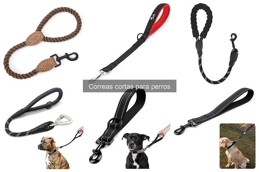 Alternativas a las correas cortas para perros que debes conocer