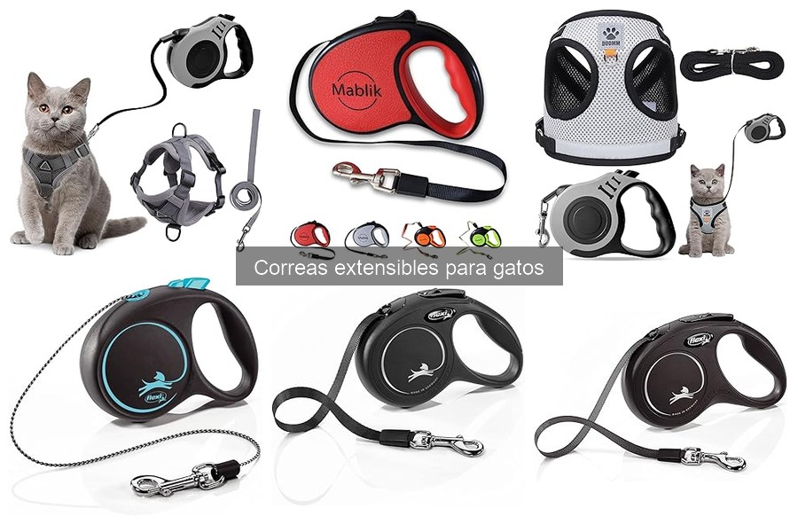 Alternativas a las correas extensibles para gatos