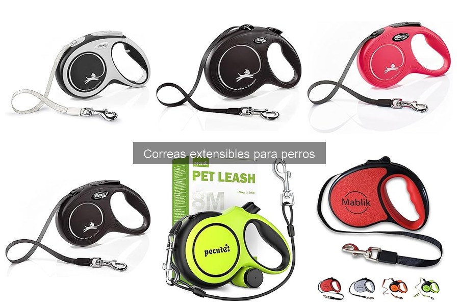 Alternativas a las correas extensibles para perros