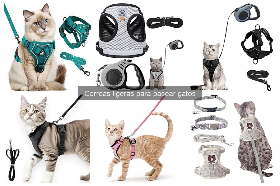 Alternativas a las correas ligeras para pasear gatos