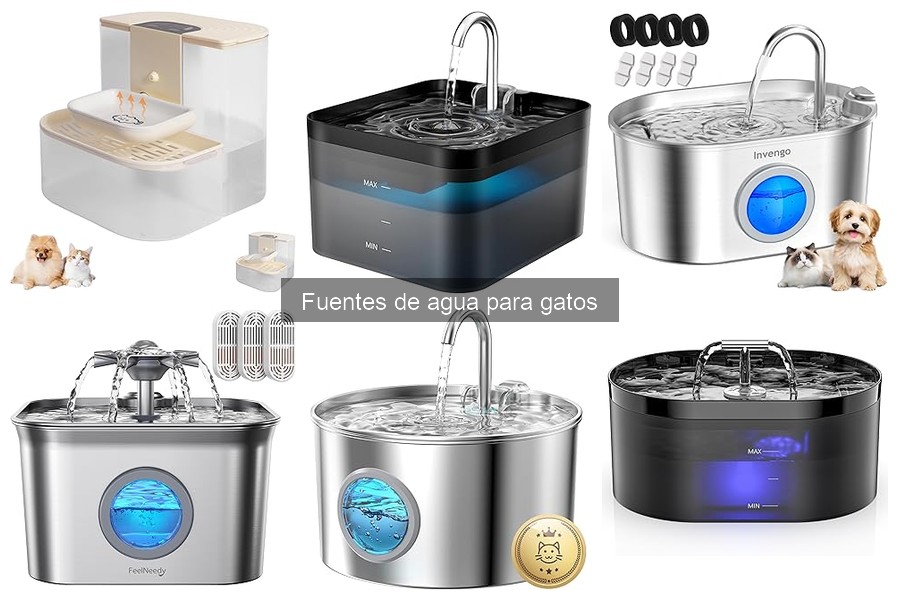 Alternativas a las Fuentes de Agua para Gatos: Opciones Prácticas