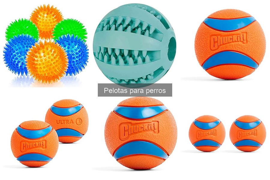 Alternativas a las pelotas para perros: juguetes divertidos