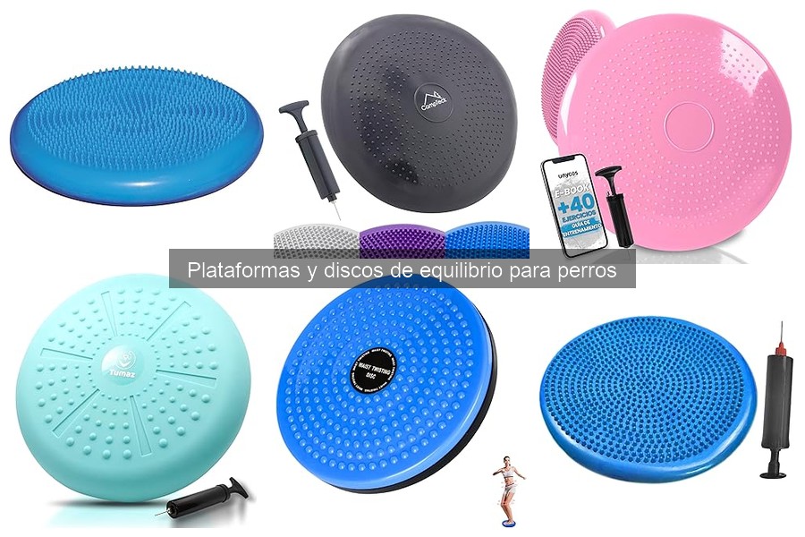 Alternativas a las Plataformas de Equilibrio para Perros