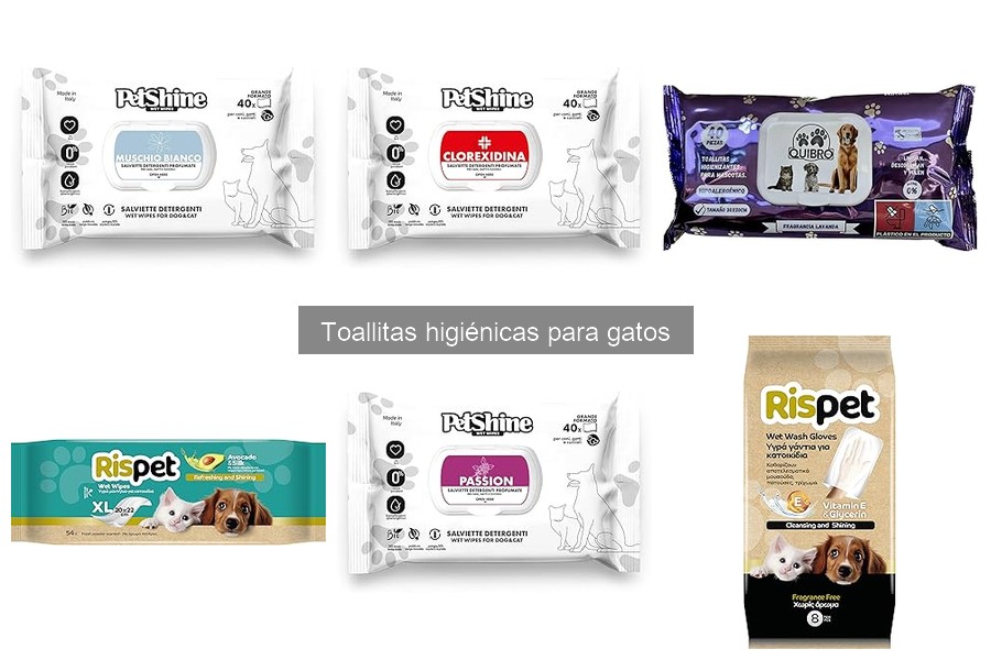 Alternativas a las toallitas higiénicas para gatos