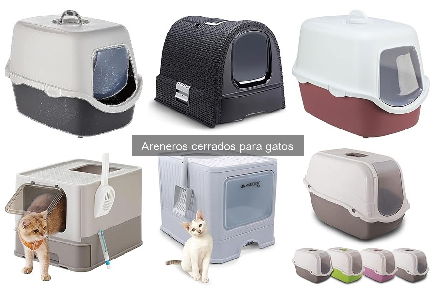 Alternativas a los Areneros Cerrados para Gatos