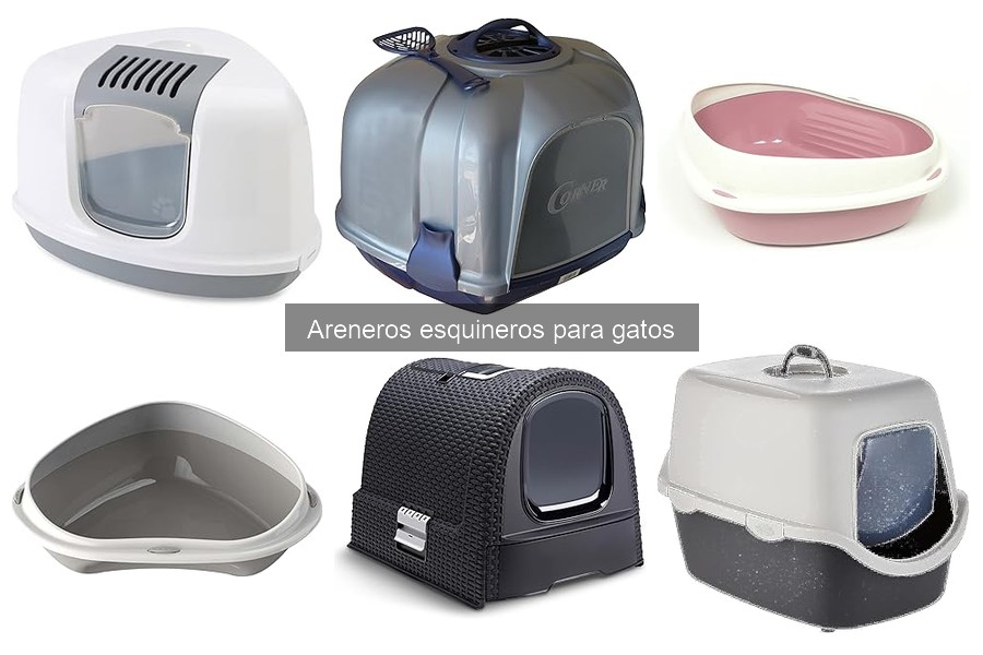 Alternativas a los areneros esquineros para gatos