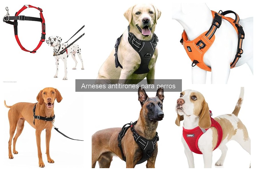 Alternativas a los arneses antitirones para perros