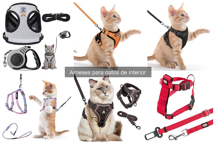 Alternativas a los arneses para gatos de interior
