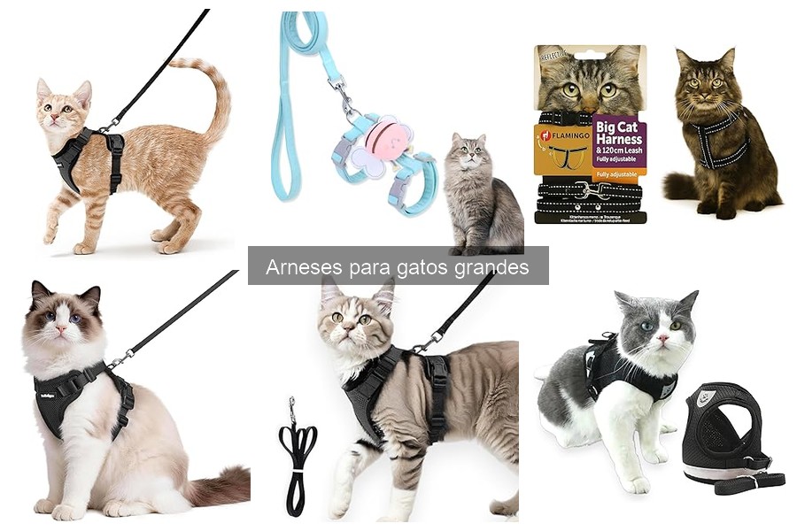 Alternativas a los arneses para gatos grandes: opciones útiles