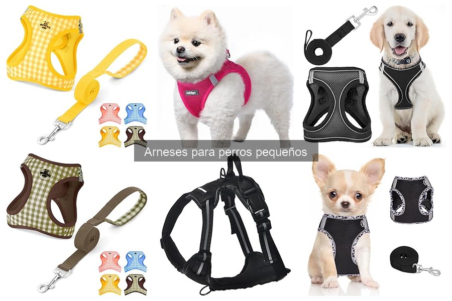 Alternativas a los Arneses para Perros Pequeños
