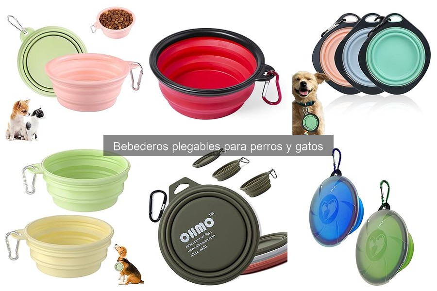 Alternativas a los Bebederos Plegables para Mascotas