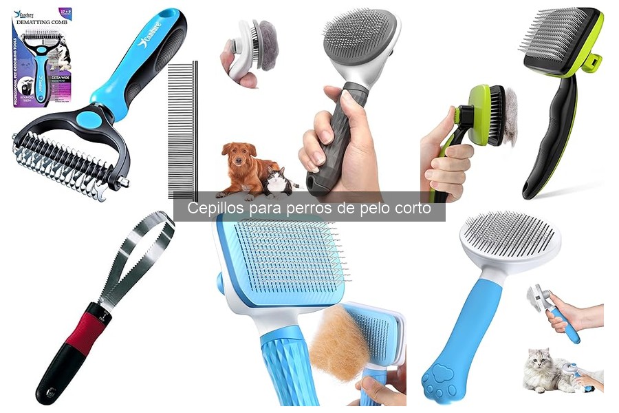 Alternativas a los cepillos para perros de pelo corto
