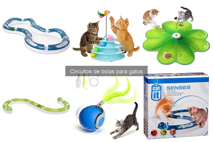 Alternativas a los circuitos de bolas para gatos: opciones interactivas