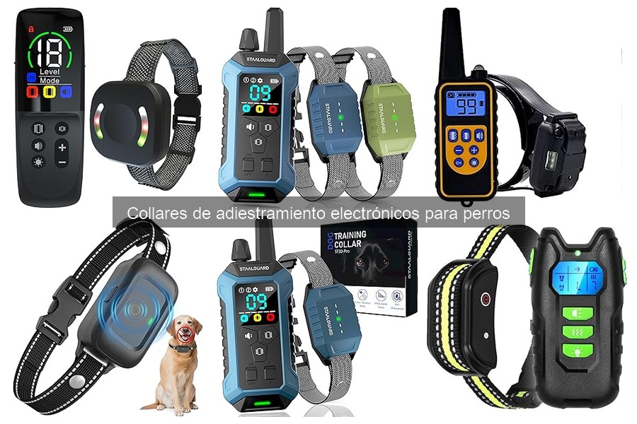 Alternativas a los collares de adiestramiento electrónicos para perros