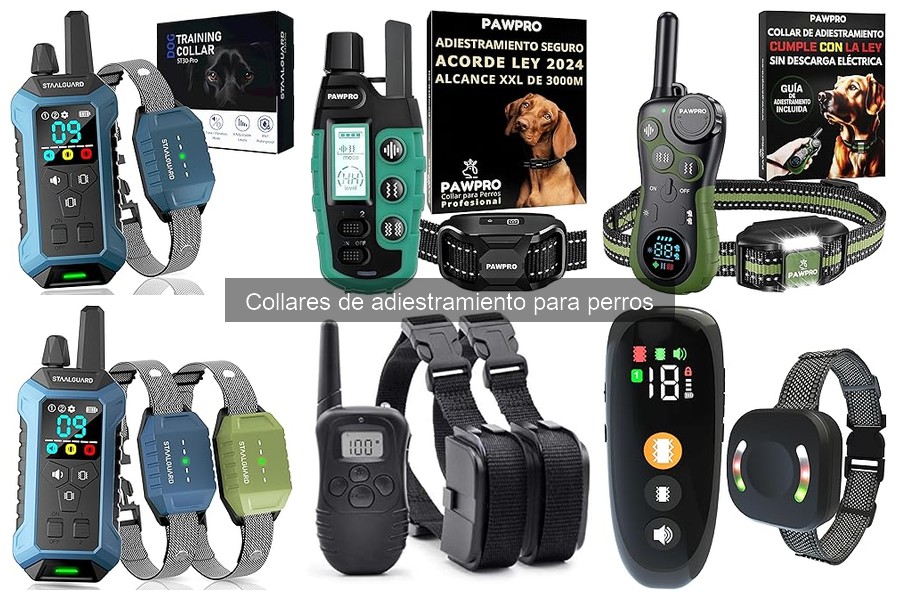 Alternativas a los Collares de Adiestramiento para Perros