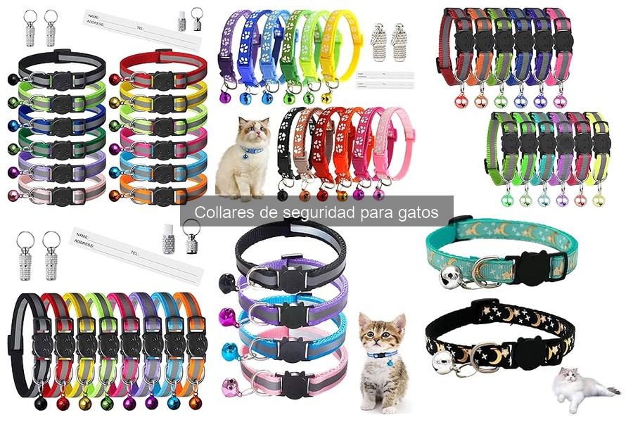 Alternativas a los collares de seguridad para gatos