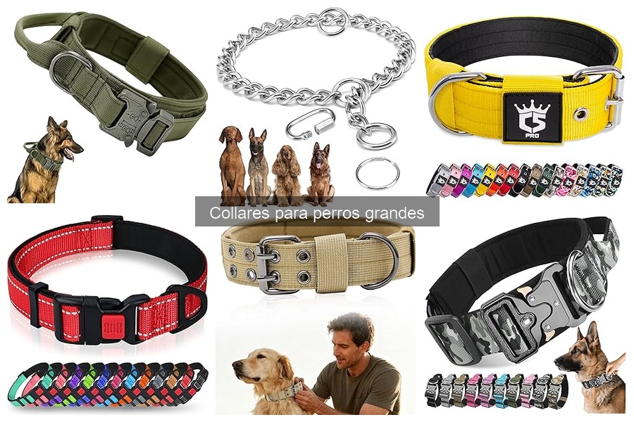 Alternativas a los collares para perros grandes: Opciones efectivas