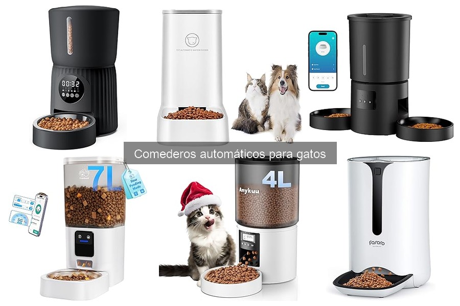 Alternativas a los comederos automáticos para gatos
