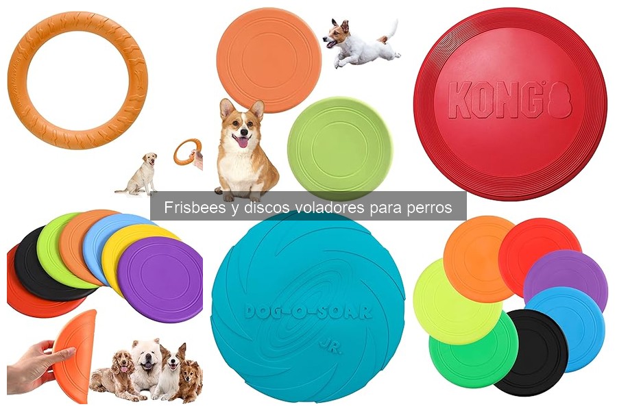Alternativas a los frisbees para perros: Mejores opciones de juego