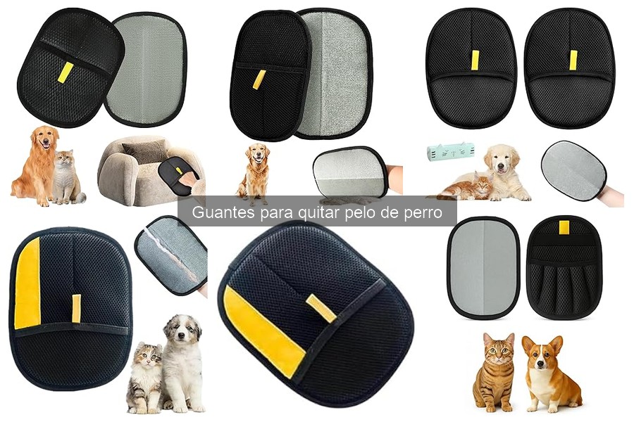 Alternativas a los guantes para quitar pelo de perro