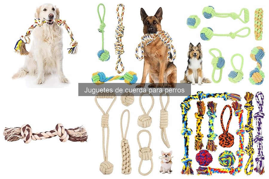 Alternativas a los juguetes de cuerda para perros