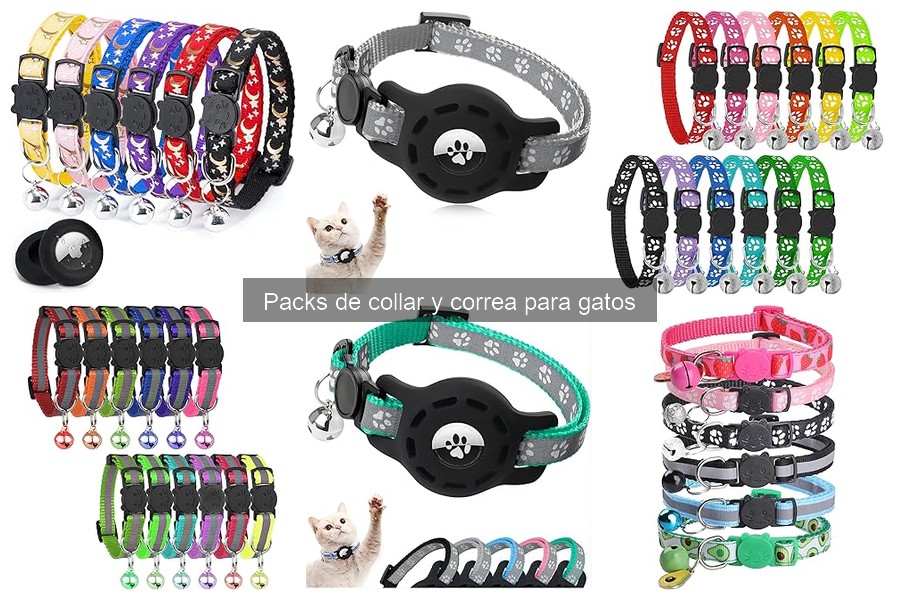 Alternativas a los Packs de Collar y Correa para Gatos