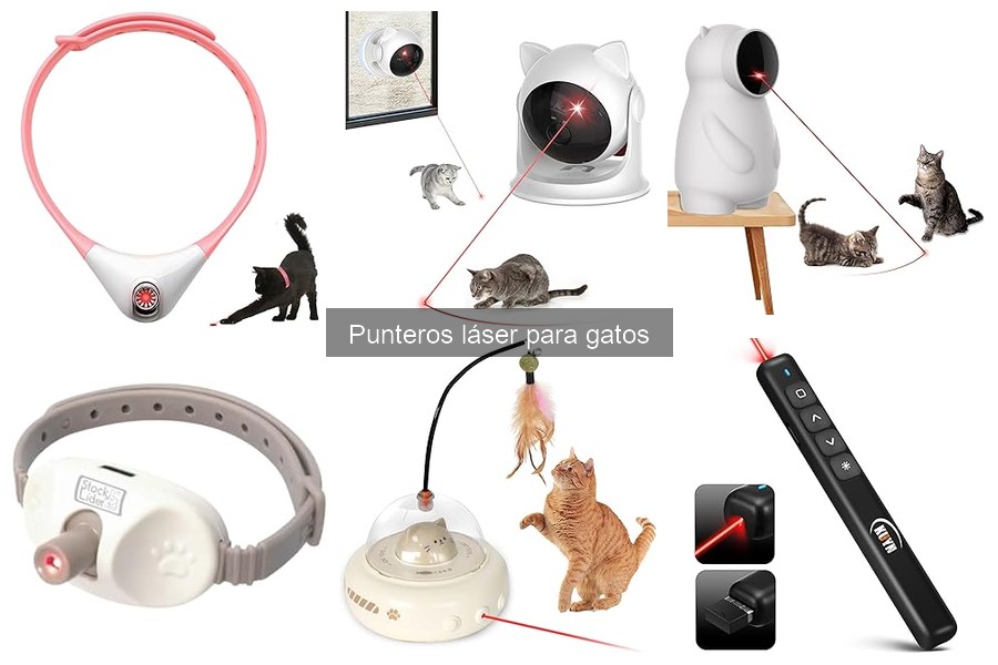 Alternativas a los punteros láser para el juego de gatos