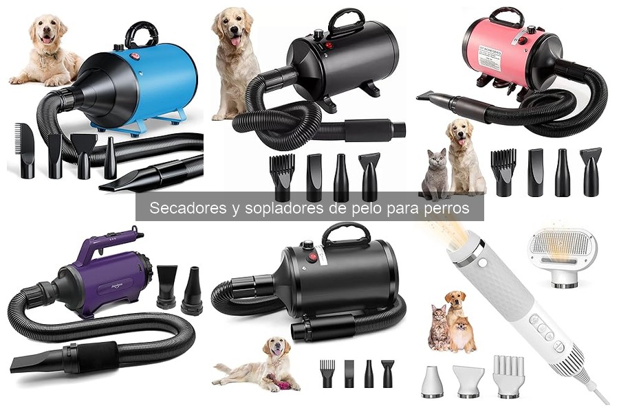 Alternativas a los Secadores de Pelo para Perros